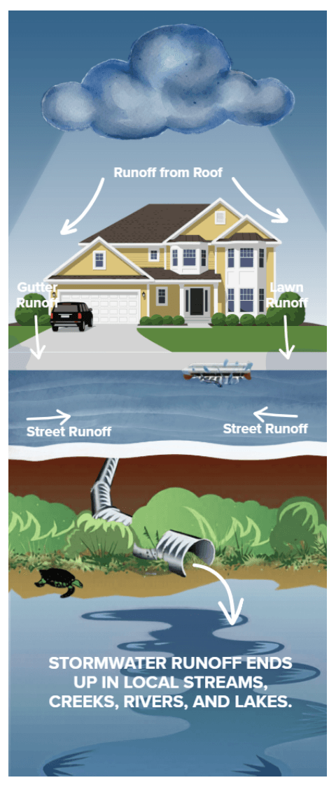 Newsletter - FBC MUD 151 - ONLY GRAPHIC.png