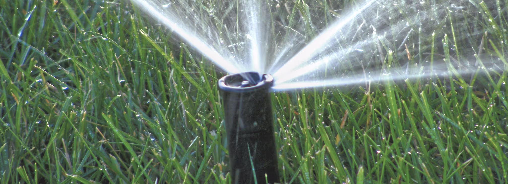 water irrigation